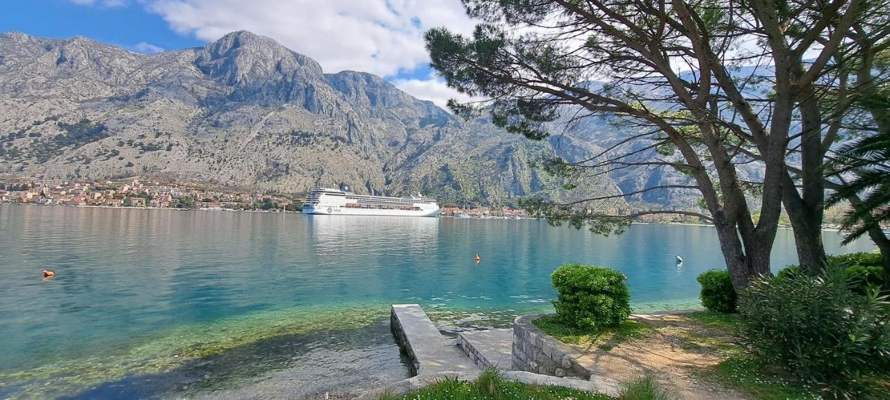 Apartment Vujosevic D&D Kotor Zimmer foto